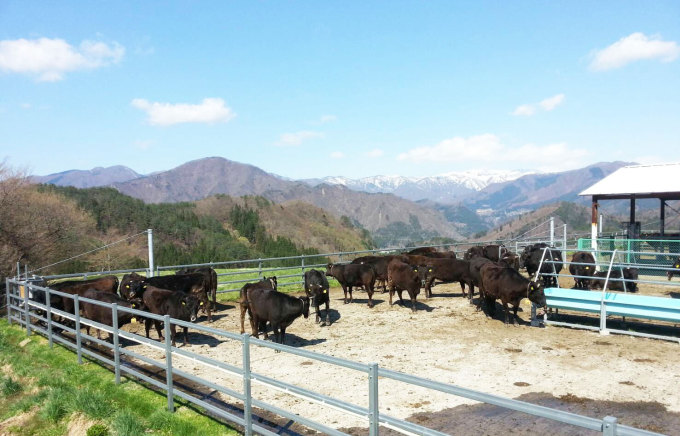 大峰牧場